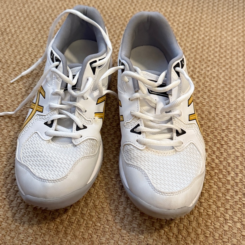 Men’s ASICS gel rocket 10 court shoes
